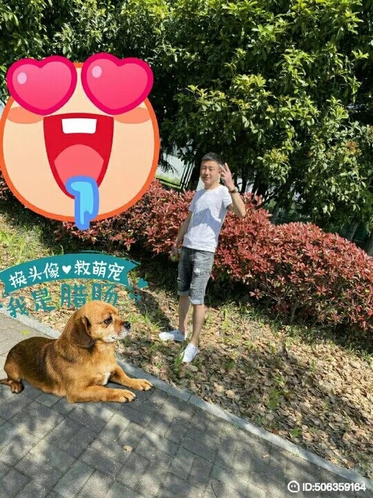 我若不坚强谁替我勇敢的第一张照片--安徽残疾人相亲网
